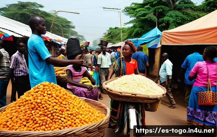 토고와 가나의 국경 문제 관련 이미지 1